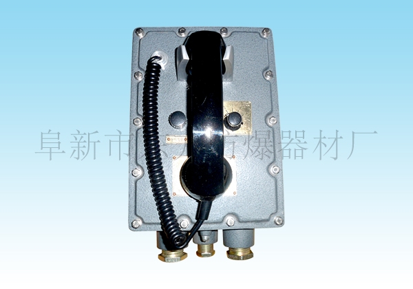 防爆工业电话